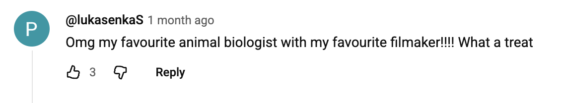 Viewer comment 9
